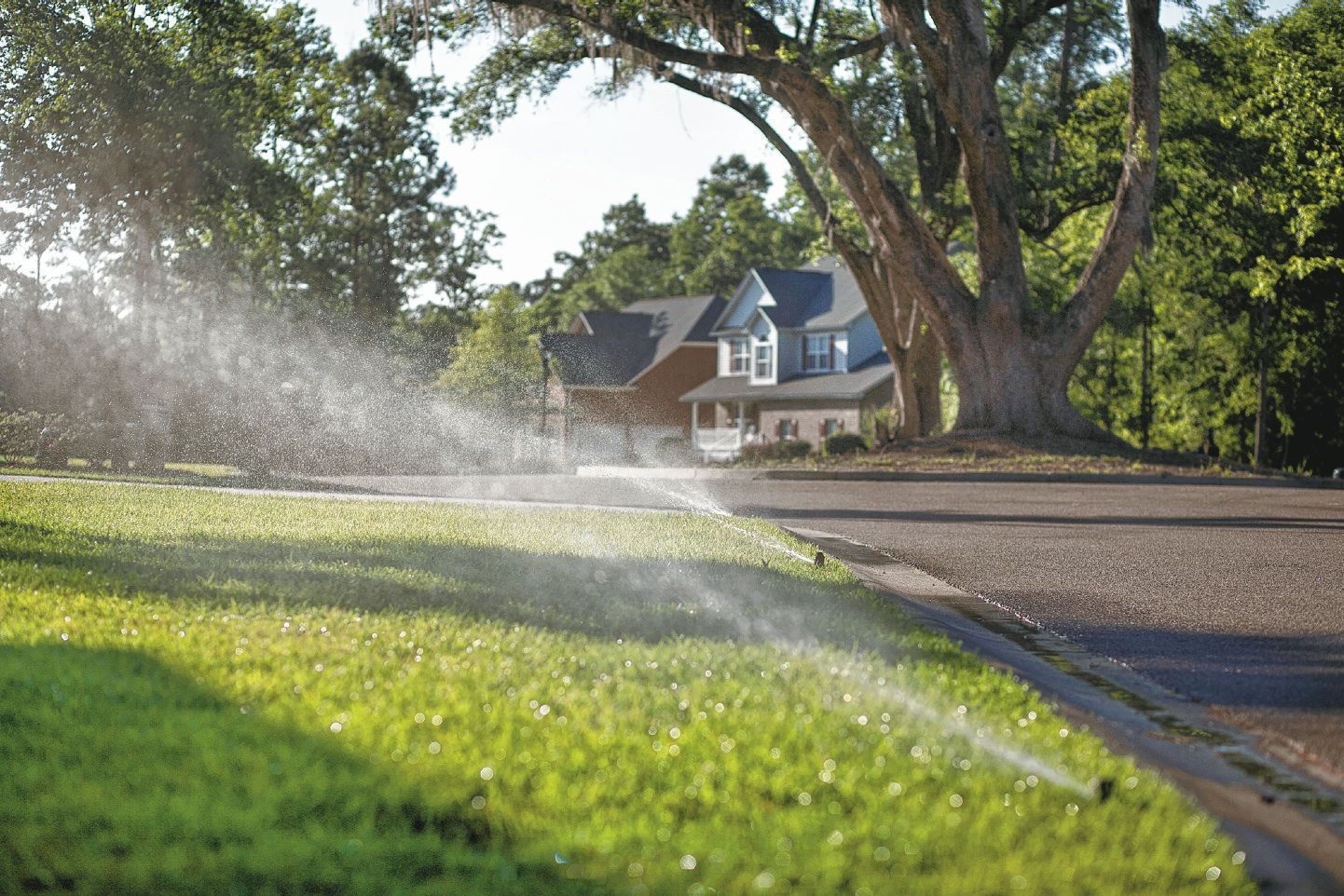 Irrigation meters can save money (copy) (copy) (copy)